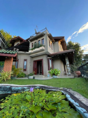 中国蒲公英民宿山景别墅与中餐Dandelion Guest house Villa with Mount View